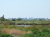 DSCF7989