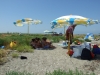 DSCF8005