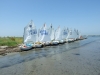 DSCF8006
