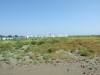 DSCF8023