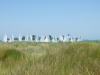 DSCF8025