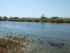 DSCF8029