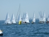 DSCF7550