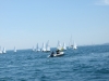 DSCF7554