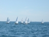 DSCF7559
