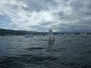 2012 - zonale lega navale trieste