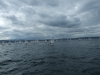 DSCF7526