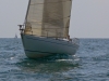 P1260268