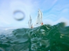 DSCN0074